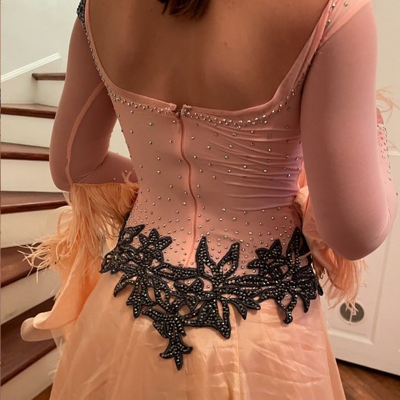 Competition Standard Dress - pre-owned - Picture 3 of 11